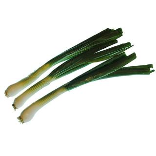 Bund/*Lauch/Fr.-Zwiebel