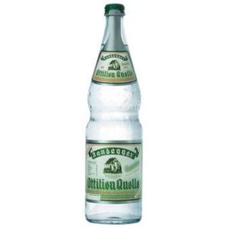 Randegger Ottilienquelle leicht